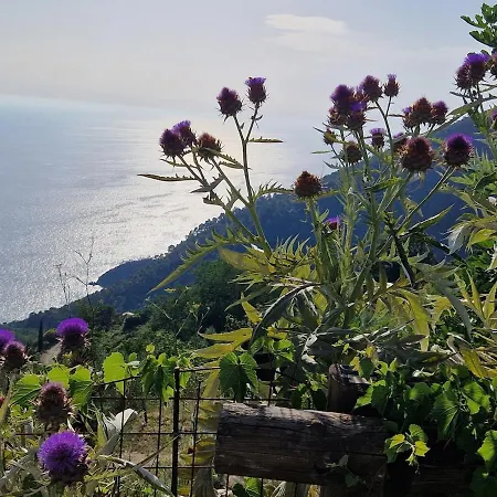 Borgo Ligure *